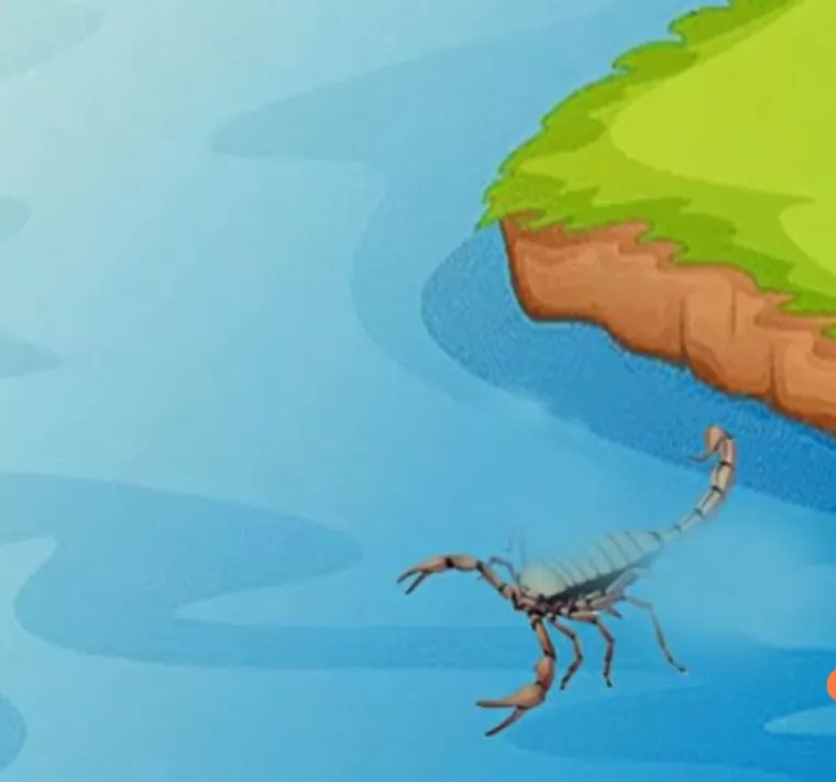 स्वयं के धर्म की चिंता कर : स्वयं के धर्म की चिंता