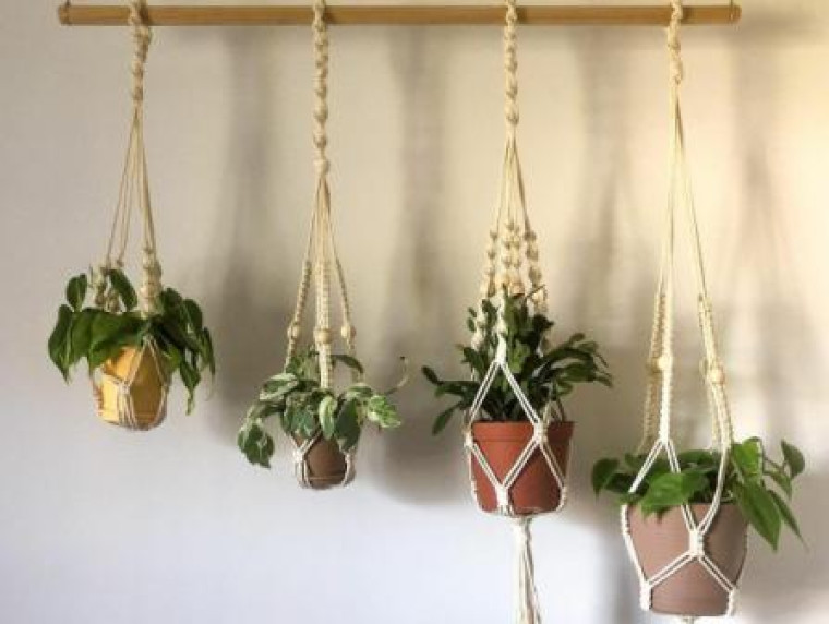 DIY Plant Hanger Ideas : यह प्लांट हैंगर आईडियाज बनाएंगे आपके घर को बेहद ब्यूटीफुल