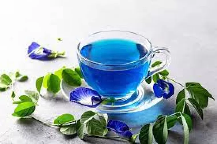 बटरफ्लाई पीफ़ूल (अपराजिता) क्या है? : संभावित स्वास्थ्य लाभ