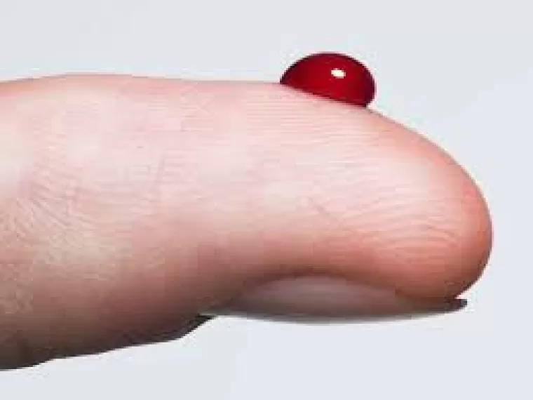 Facts About Blood : आइए जानते है